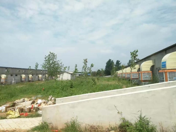 畜牧業(yè)養(yǎng)殖場(chǎng)